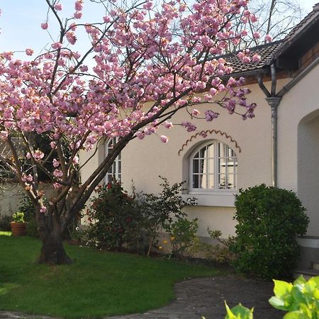 Maison D'Hotes Paris Riverside Saint-Maur-des-Fossés Exterior foto